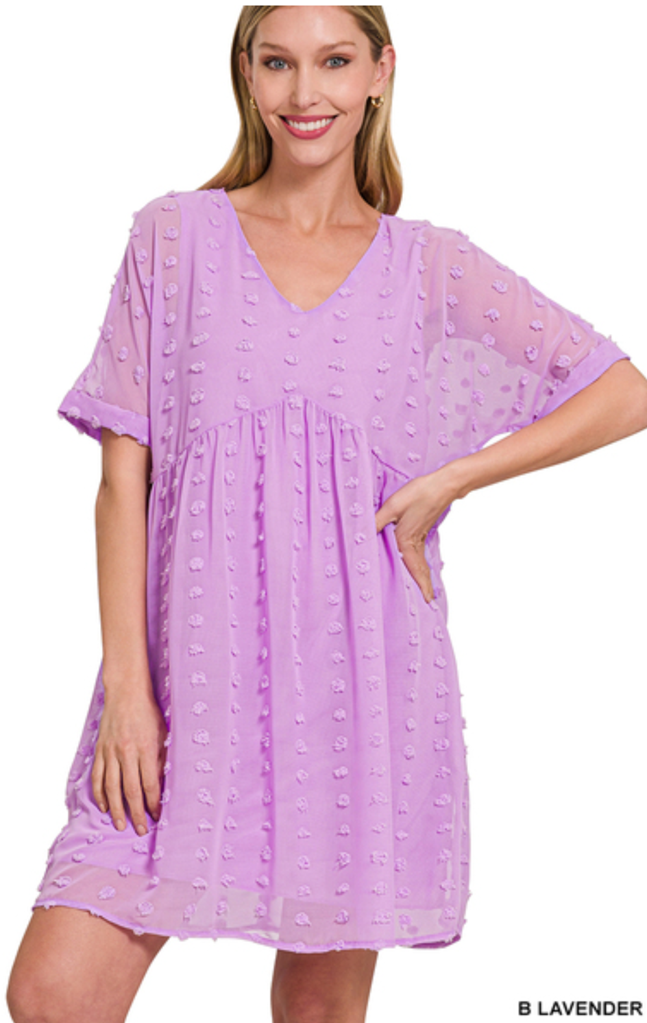Rina Swiss Dot Short Sleeve Dress